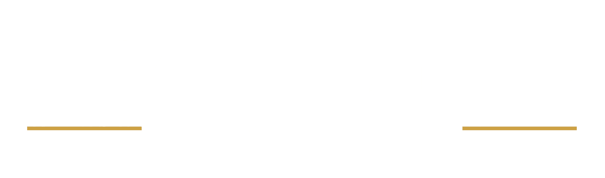 USA Limousine